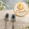 Black Stone Peacock-Inspired Long Earring