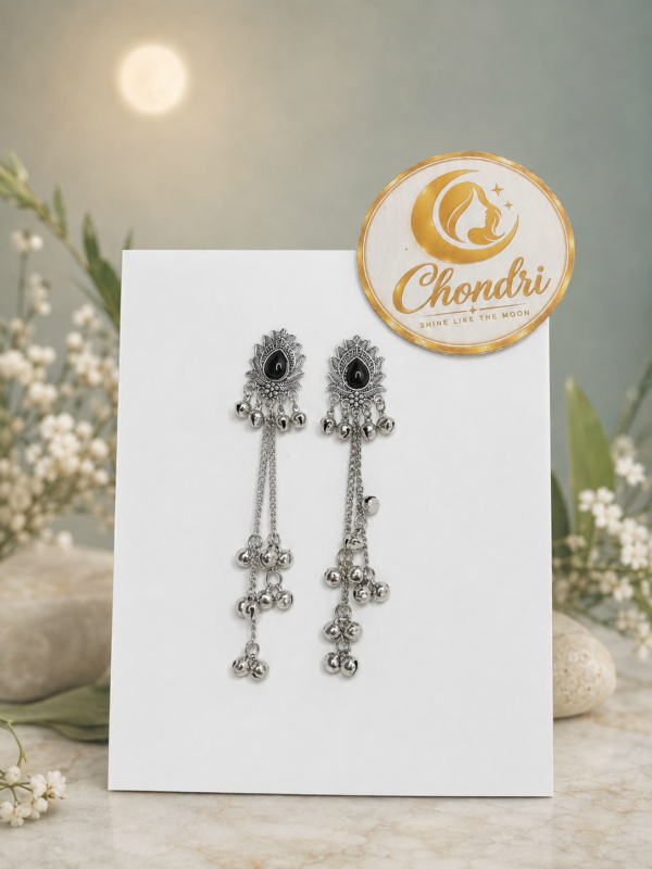 Black Stone Peacock-Inspired Long Earring