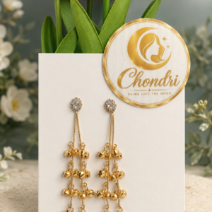 Sonali Jhankar Long Chain Earrings