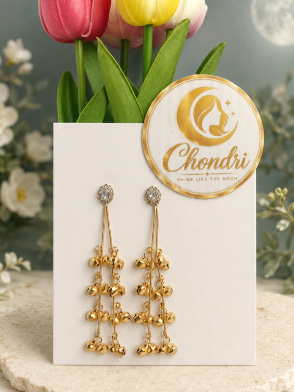 Sonali Jhankar Long Chain Earrings