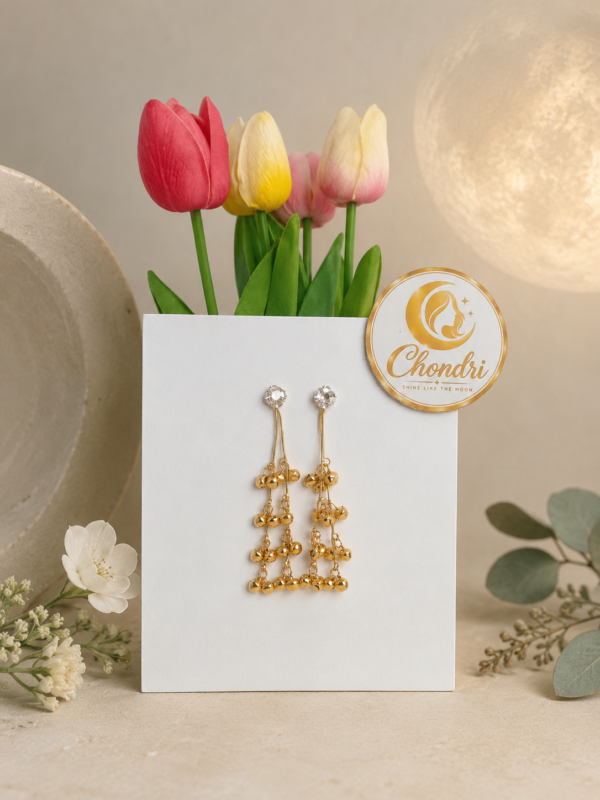 Sonali Jhankar Long Chain Earrings